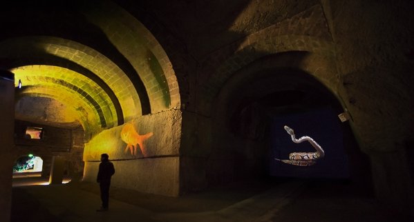 Bertrand Gadenne Caves Ackerman