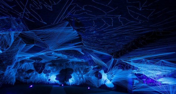 Julien Salaud Caves Ackerman