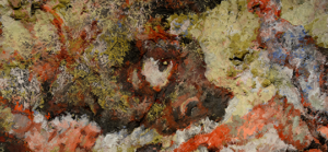 œuvre présente dans les caves Ackerman de Makiko Furuichi